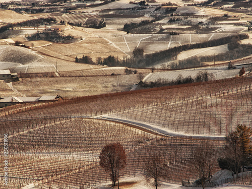 Langhe hills and vineyards with snow in winter. View from Diano d'Alba, Barolo area, Piedmont, Italy