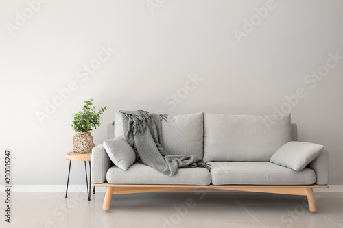 Interior of room in eco style with soft couch and green plant in vase