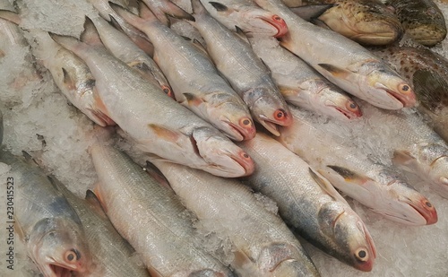 Assorted fishes sell in wet market