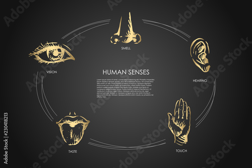 Human senses - vision, taste, touch, hearing, smell vector concept set