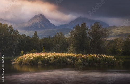 Strba Pond with Little Island full of Flowers lit by Golden Light at Sunset with High Tatras Mountains in Background, Slovakia.