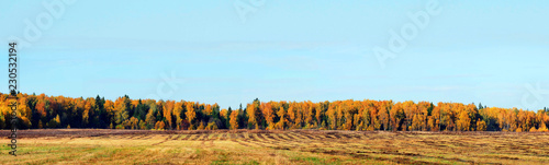 Mown field, forest, autumn. Autumn countryside landscape on sunny day. Panorama