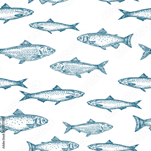 Hand Drawn Fish Vector Seamless Background Pattern. Anchovy, Herrings, and Salmons Sketches Card or Cover Template in Blue Color.
