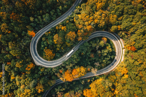 Truck on winding road in the forest