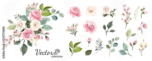 Set of floral branch. Flower pink rose, green leaves. Wedding concept with flowers. Floral poster, invite. Vector arrangements for greeting card or invitation design