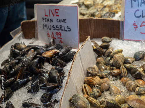 Live penn cove mussels for sale in ice at fish market