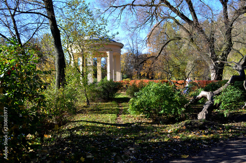 Gazebo in the Park in autumn