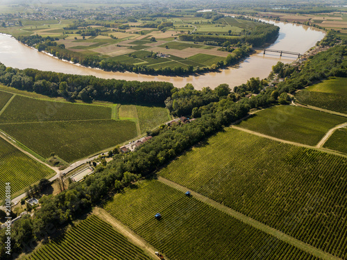 Aerial view Bordeaux Vineyard at sunrise, Entre deux mers, Langoiran, Gironde