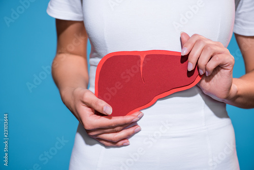 cropped shot of woman holding paper crafted liver in hands on blue background