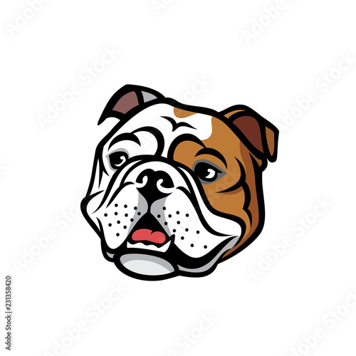 English bulldog face