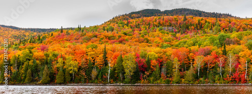 Fall scene in the Quebec cottage country with golden leaves and fall colors.