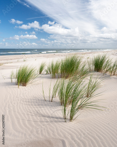 Endless Empty Sandy Beach on Baltic Sea near Leba Sand Dunes in Poland