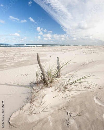 Endless Empty Sandy Beach on Baltic Sea near Leba Sand Dunes in Poland