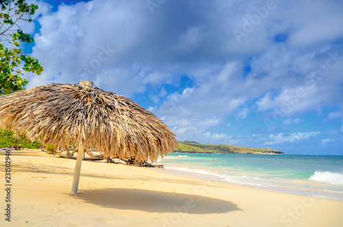beautiful white sandy beach in the Caribbean, a parasol of palm branches, clear azure water