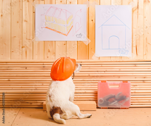 Dog as funny constructor with hardhat looking at blueprint of kennel