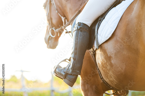 Foot in horse stirrup, close-up. Horse theme