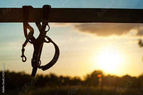 Leather plaited nylon halter on the fence in the rays of the setting sun. Horse theme