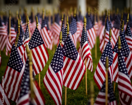 A field of flags