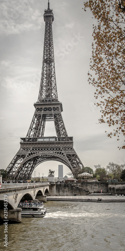 Eiffelturm mit Baum in Schwarz Weiß hochkant mit Wolken in Paris Frankreich
