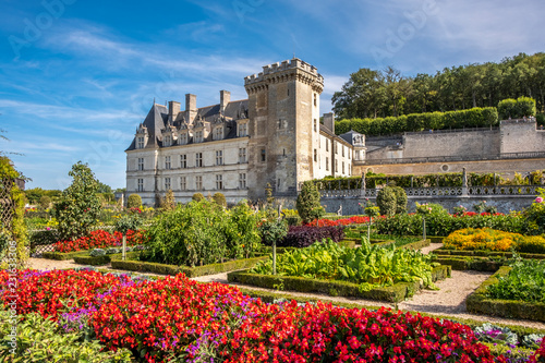 Beautiful vegetable garden with chateau Villandry on the background, Loire region, France.