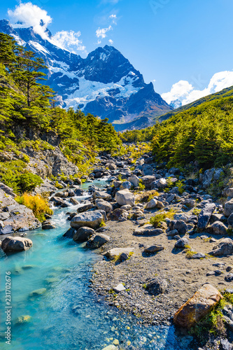 View of Torres del Paine National Park, its forests, mountings and glacial river at Autumn, Patagonia, Chile, sunny day, blue sky