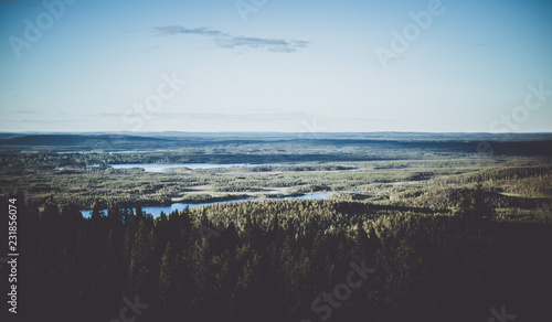 Looking across the forest on Swedish Lapland