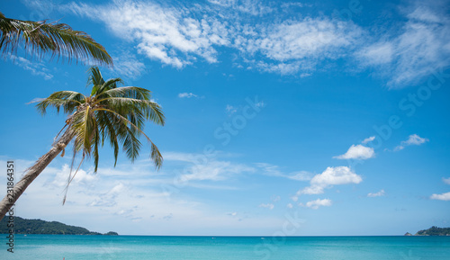 tropical paradise beach with white sand and coco palms travel tourism