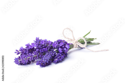 Lavendel - Kleiner Strauß Lavendelblüten