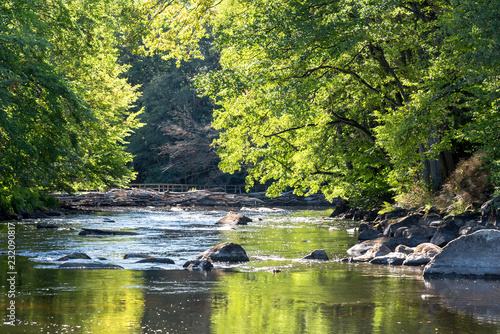 Wild Swedish river in september