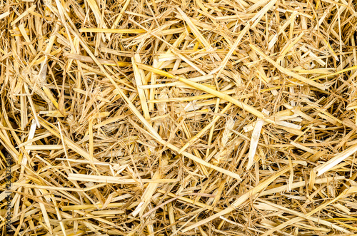 a bunch of straw for texture or background