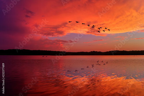 Stunning Sunset Sky Reflected on Relaxing Lake With Canadian Geese Flying Overhead