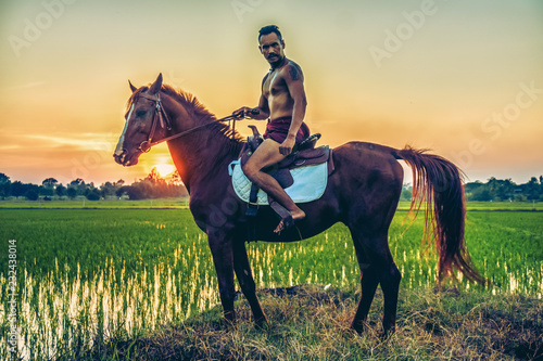 a male Thai villager in traditional man dress on horseback at rice field in rural country area of Thailand during sunset