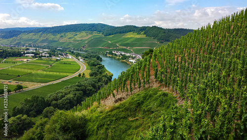 Die Mosel bei Ürzig, Rheinland-Pfalz, Deutschland 