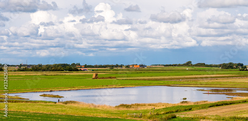 Panorama of polder landscape with farmland and wetlands on Frisian island Texel, Noord-Holland, Netherlands