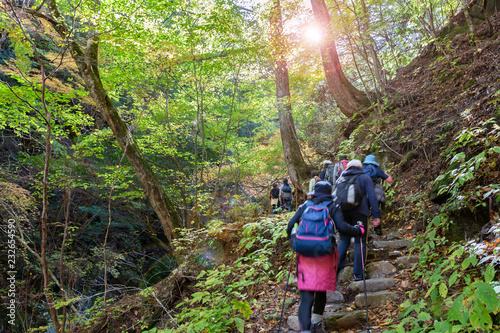 鮮やかな紅葉の登山道