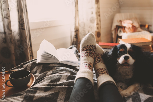 cozy winter day at home with cup of hot tea, book and sleeping dog. Spending weekend in bed, seasonal holidays and hygge concept