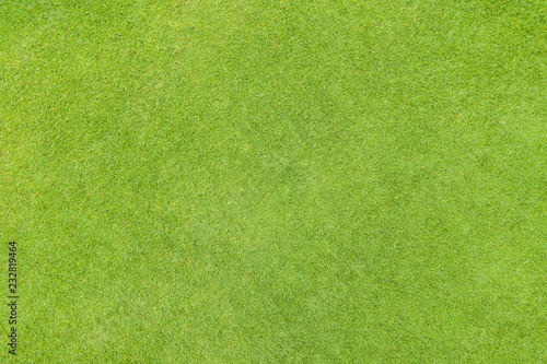 Golf fairway grass texture top view