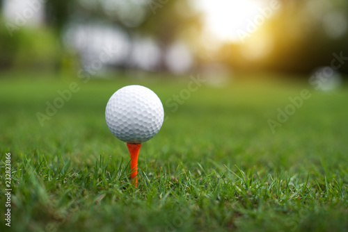 golf ball on green backgrund.