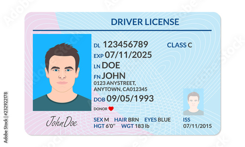 Driver license with male photo. Identification or ID card template. Vector illustration.