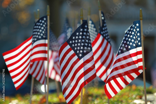 American Flags for celebrating the holiday 