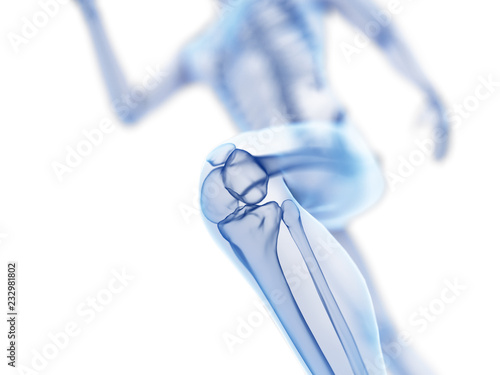 3d rendered illustration of a joggers knee