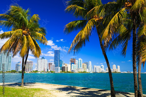 Skyline view of Miami Florida