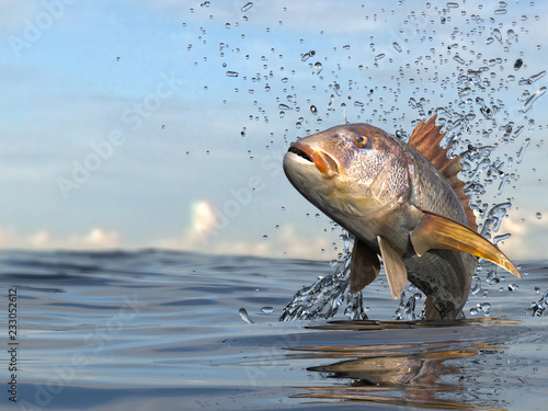 Common dentex fish jumping in ocean 3d render