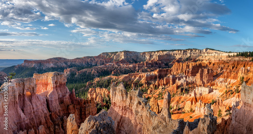 Early Morning view of the great amphitheater from the Bryce Canyon rim