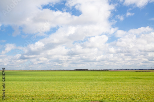 Flat and vibrant green summer polder landscape in The Netherlands. Shot against a blue clouded sky.