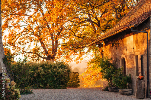 Fall sunset, magic golden light over old small cosy house