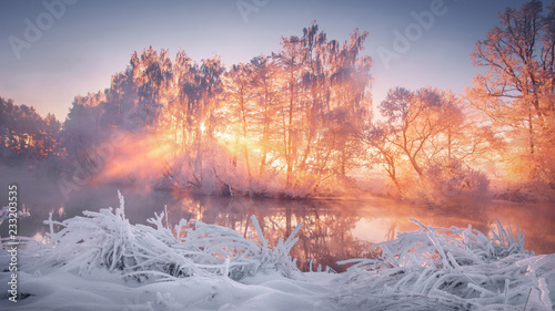 Winter scenery at sunrise