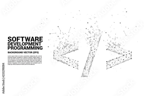 Vector Polygon software development programming tag icon with dot connect line. Concept for Programming language technology and coding.