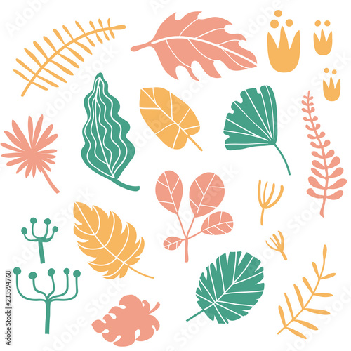 Tropical plants and leaves set