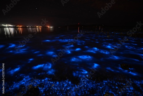 Sea sparkle in Rokeby, Tasmania, Australia